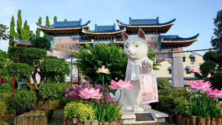 Latest Video Sarawak